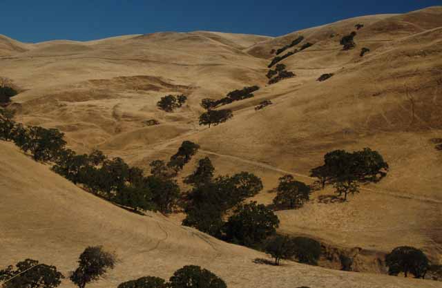 Corral Hollow Road